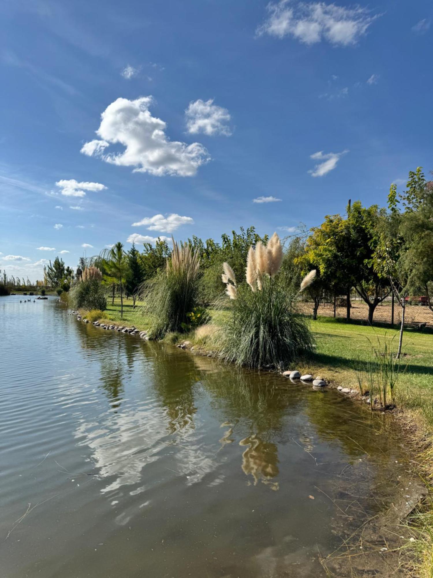 Complejo Koi Apartment General Alvear  Luaran gambar